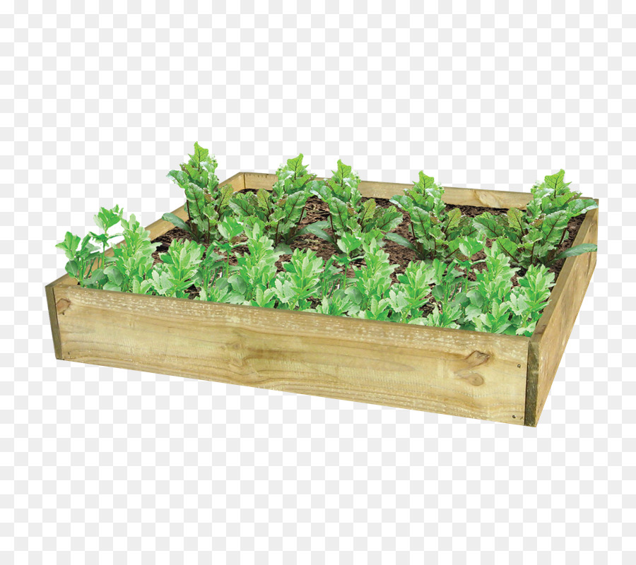 Herbe，Flowerpot PNG