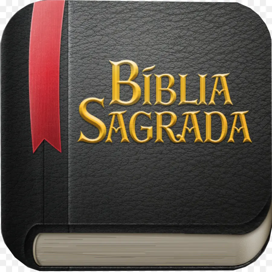 Bible，Saint PNG