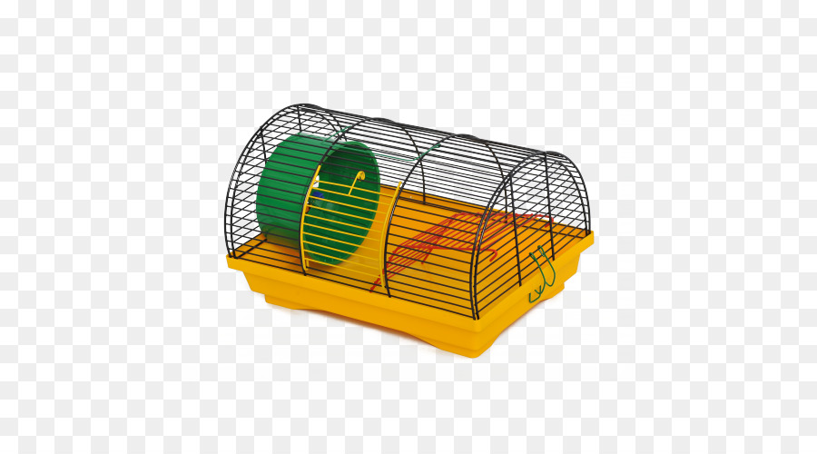 Les Rongeurs，Hamster PNG