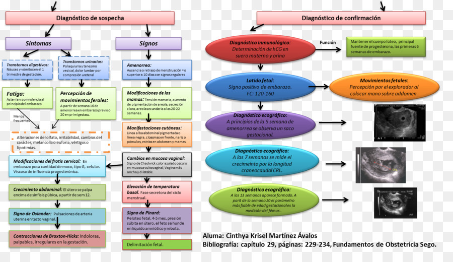 Obstétrique Et Gynécologie，Obstétrique PNG