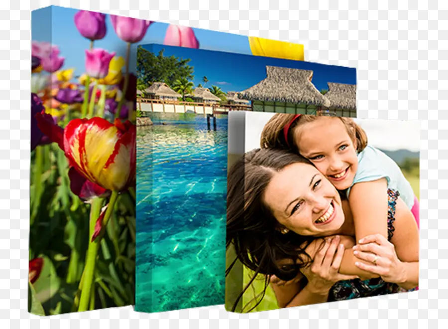 Collage De Photos，Fleurs PNG