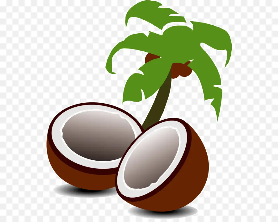 Noix De Coco，Brun PNG