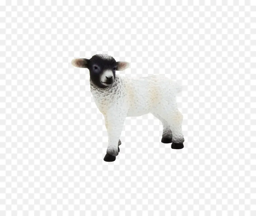 Agneau，Mouton PNG