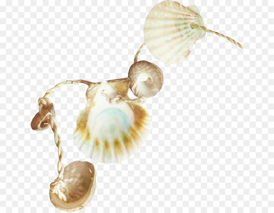 Coquillages，Chaîne PNG