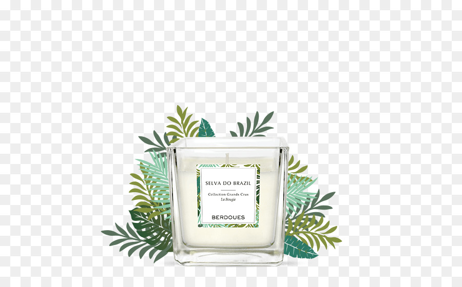 Bougie，Parfumé PNG