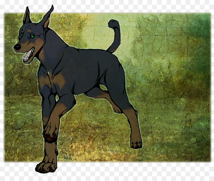 Doberman，Chien PNG