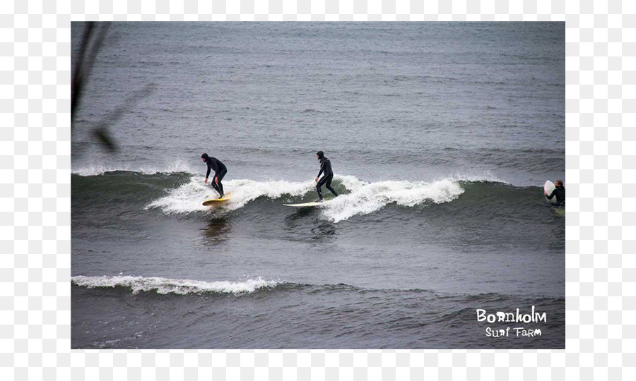 Surf，Planche De Surf PNG