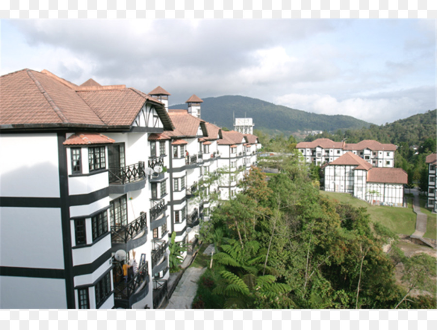 Cameron Highlands，Propriété PNG