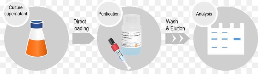 étiquette Polyhistidine，Nickel PNG