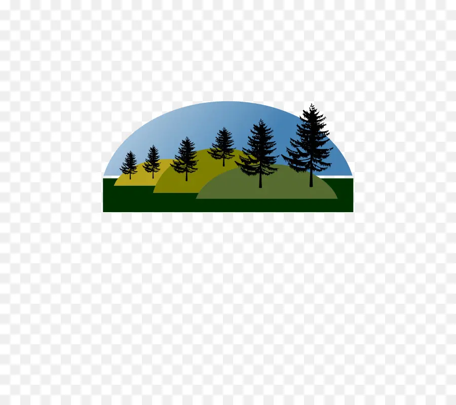 Illustration De La Forêt，Arbres PNG