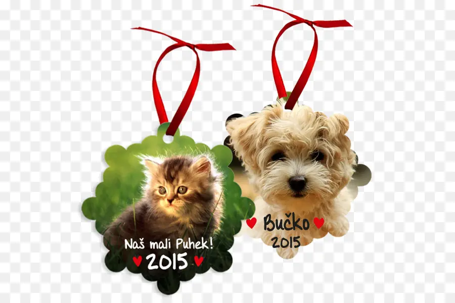 Ornements Chaton Et Chiot，Chaton PNG