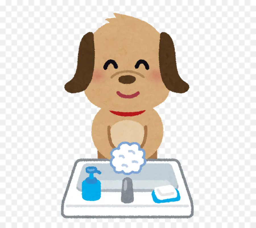 Chien，Lavage PNG