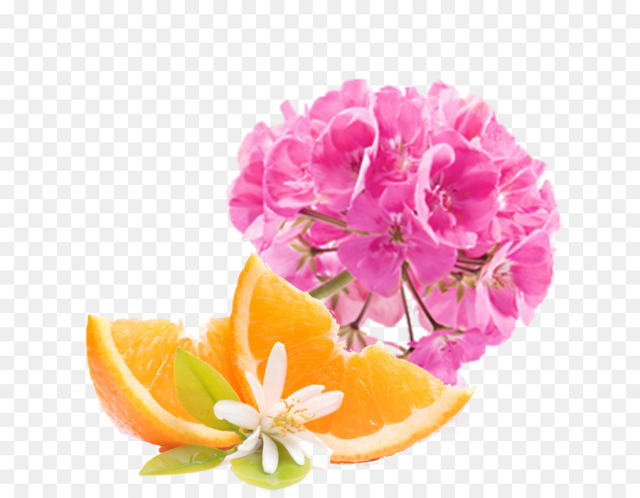 Fleurs Roses Et Tranches D'orange，Fleurs PNG