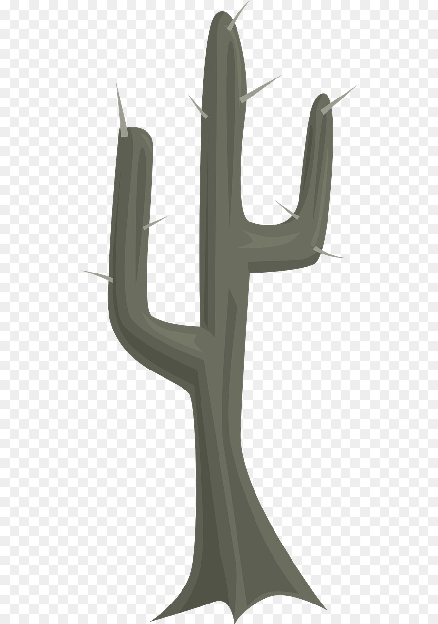 Désert，Cactaceae PNG