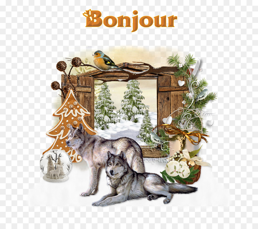 Loup Gris，Ornement De Noël PNG