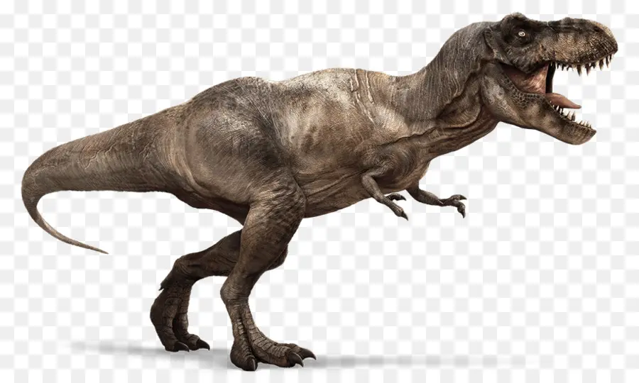 Le Tyrannosaure，Ankylosaurus PNG