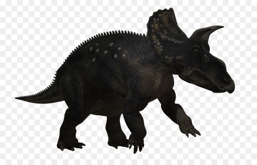 Dinosaure，Tricératops PNG