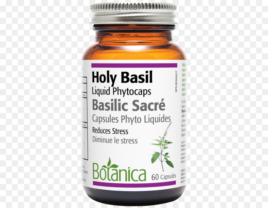 Capsule，Saint Basile PNG