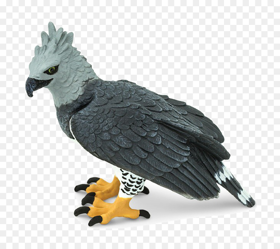 Aigle Harpie，Safari Ltd PNG