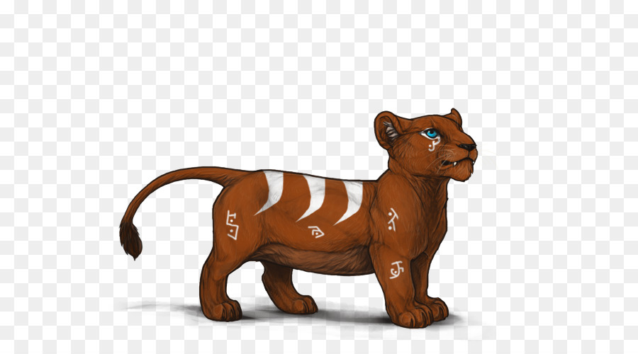 Felidae，Maltais Chien PNG