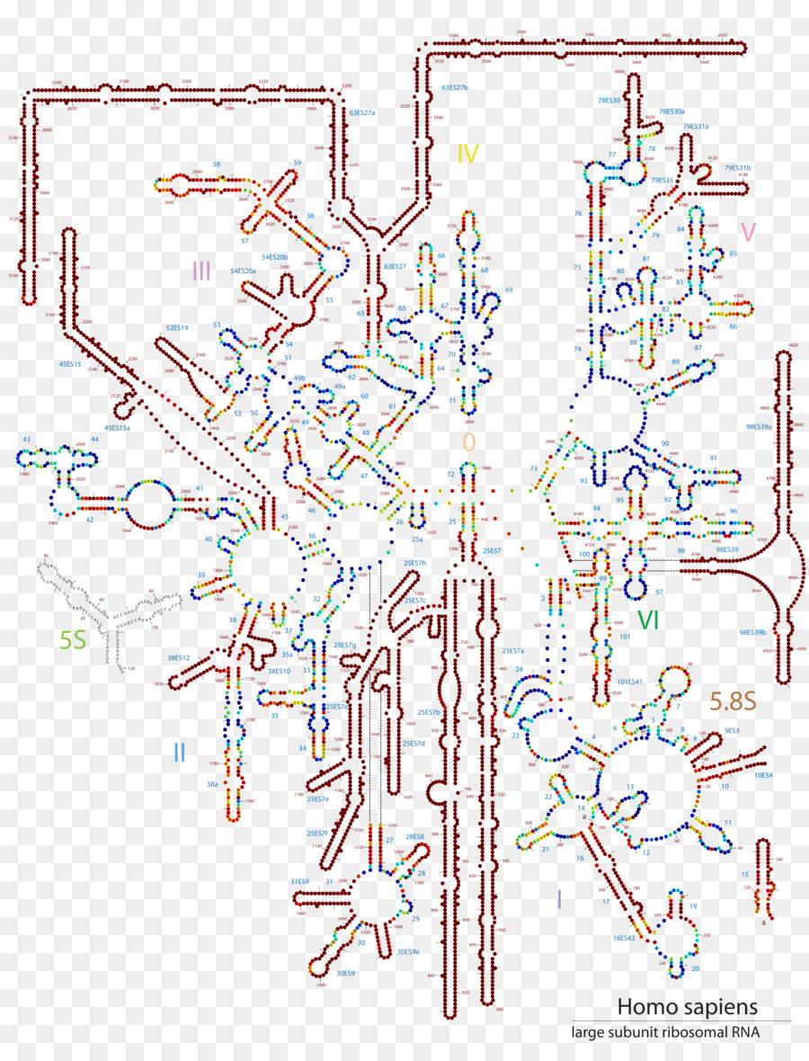 Diagramme，Point PNG