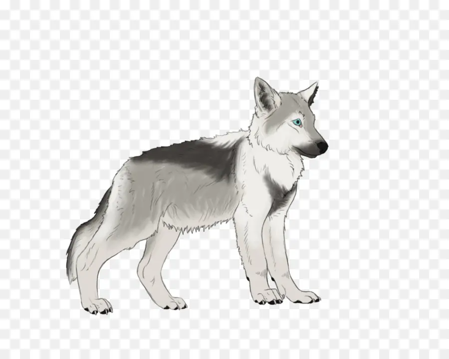 Loup De Dessin Animé，Loup PNG