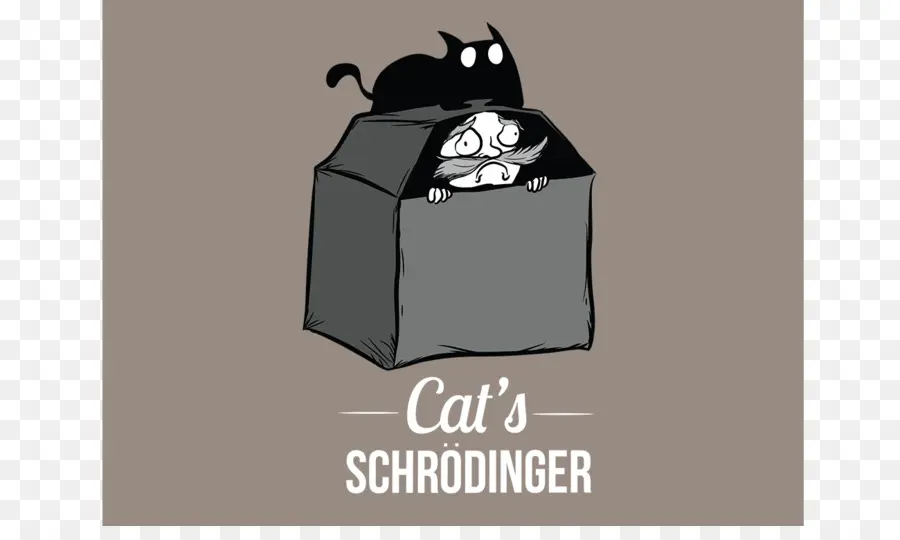 Le Chat De Schrödinger，Chat PNG