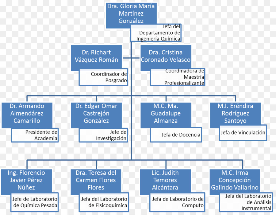 Organigramme，Organisation PNG