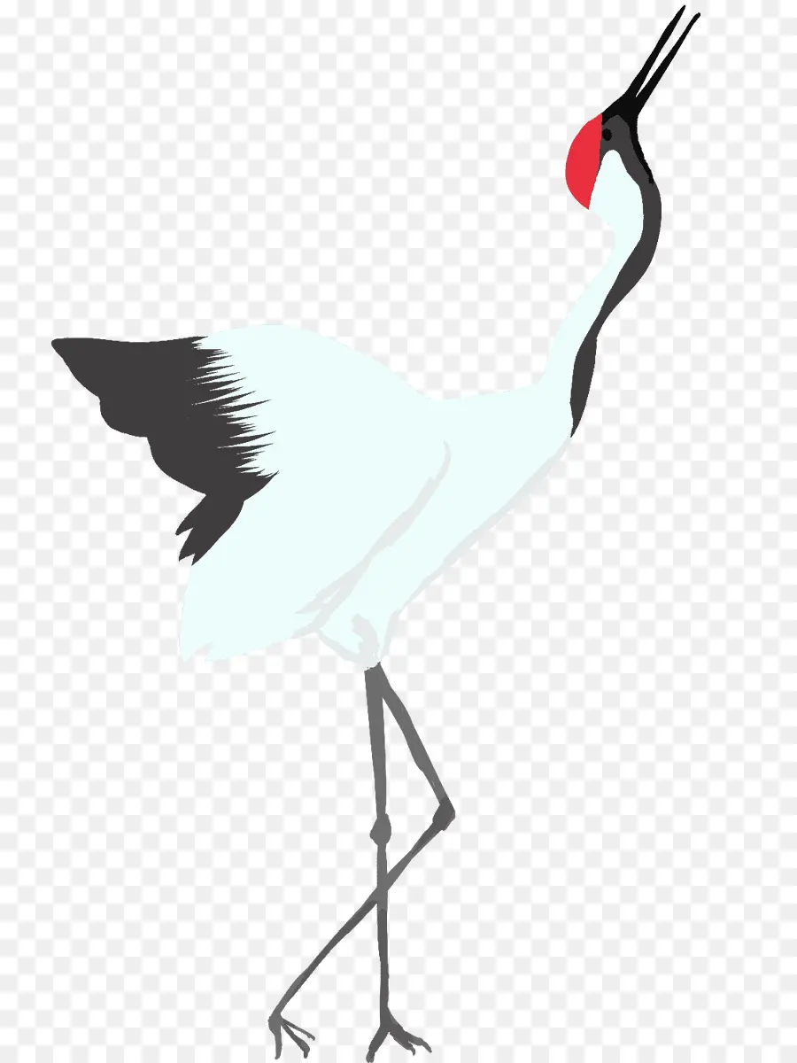 Cigogne，Blanc PNG