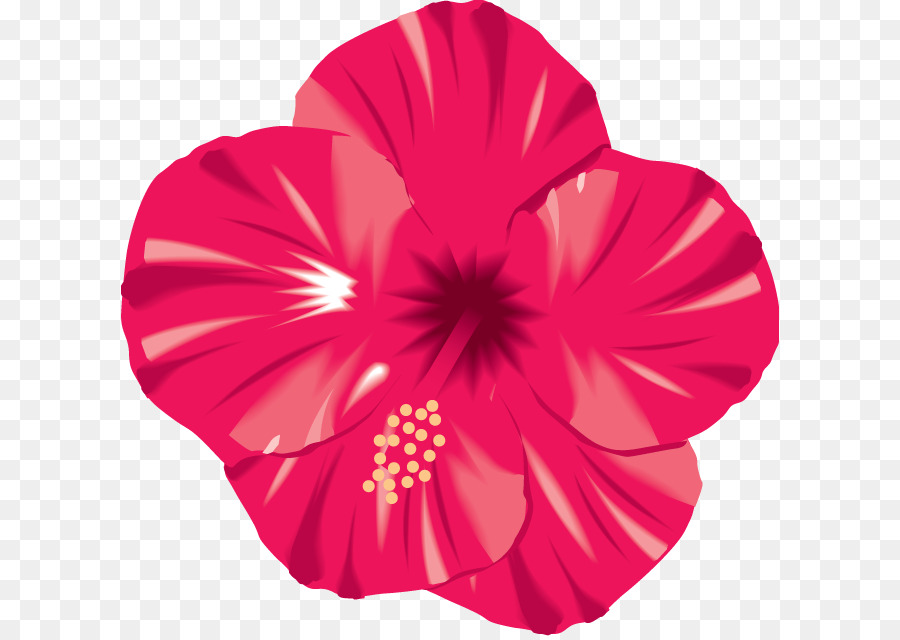 Fleur，Télécharger PNG