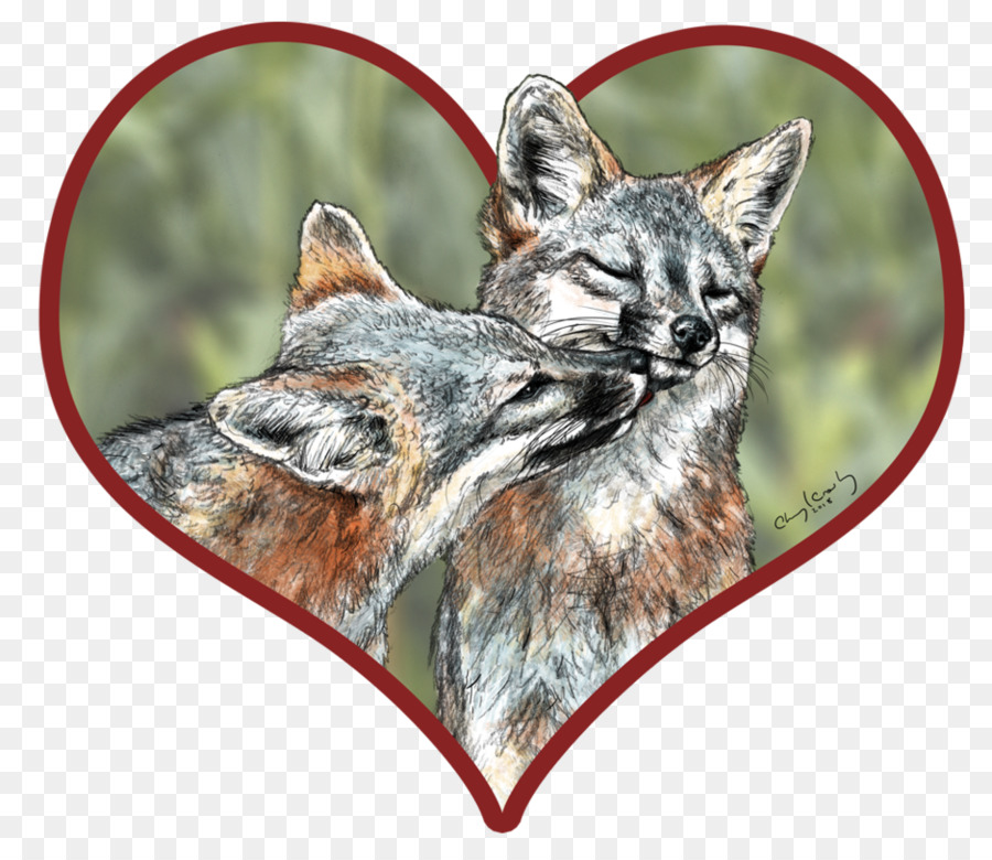 Renard Rouge，Renard Gris PNG