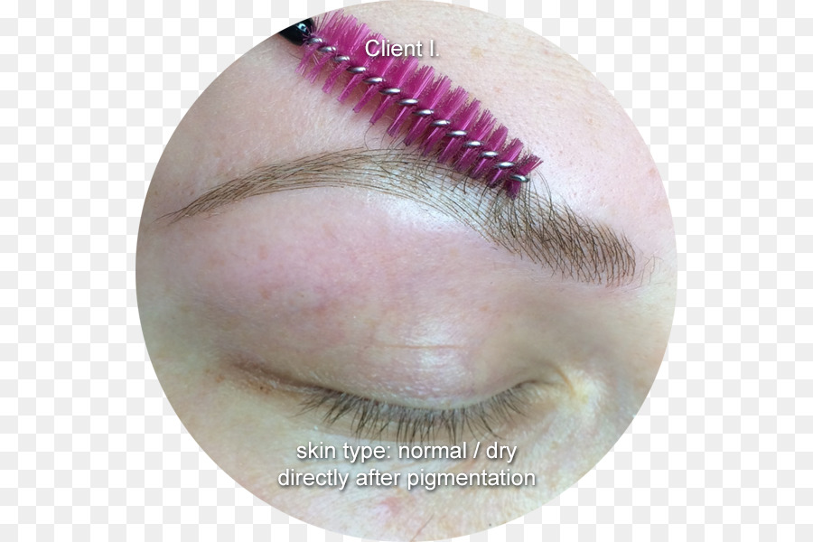 Face à Couture Microblading Professionnels，Microblading PNG