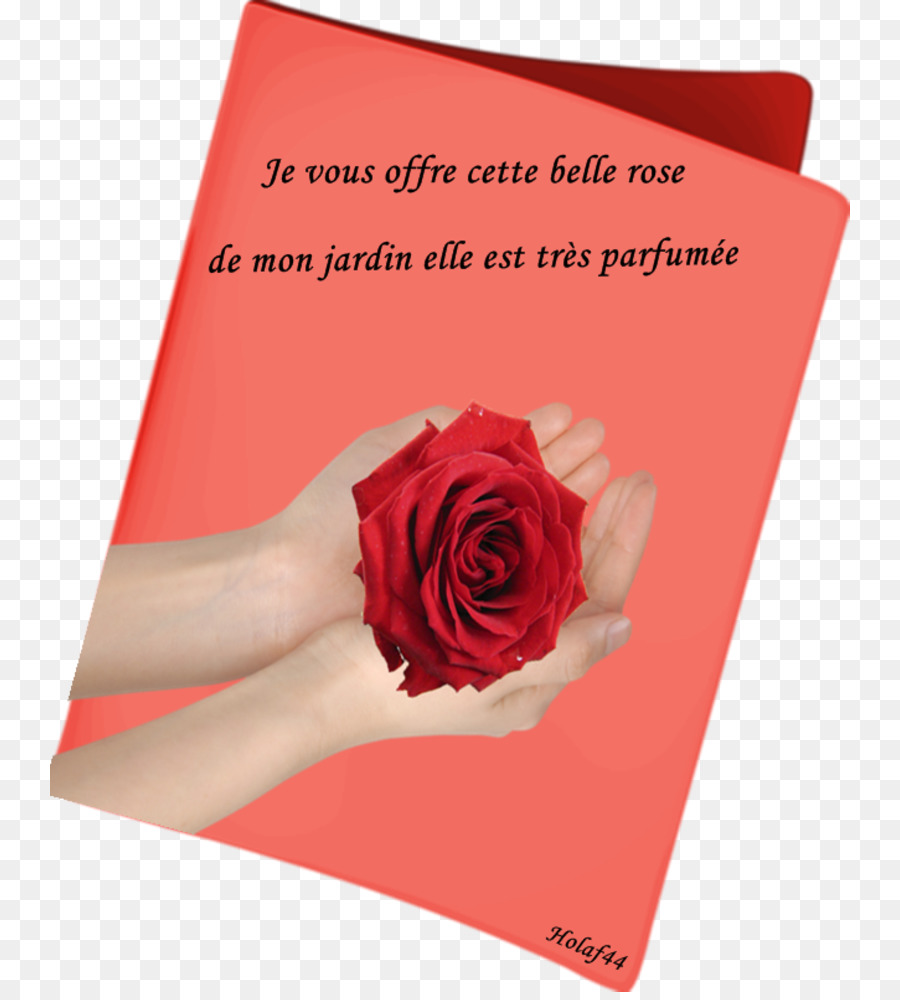 Roses De Jardin，Amour PNG