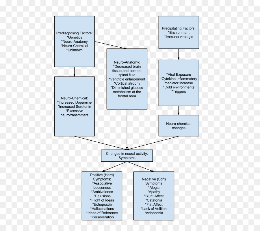 Organigramme，Processus PNG