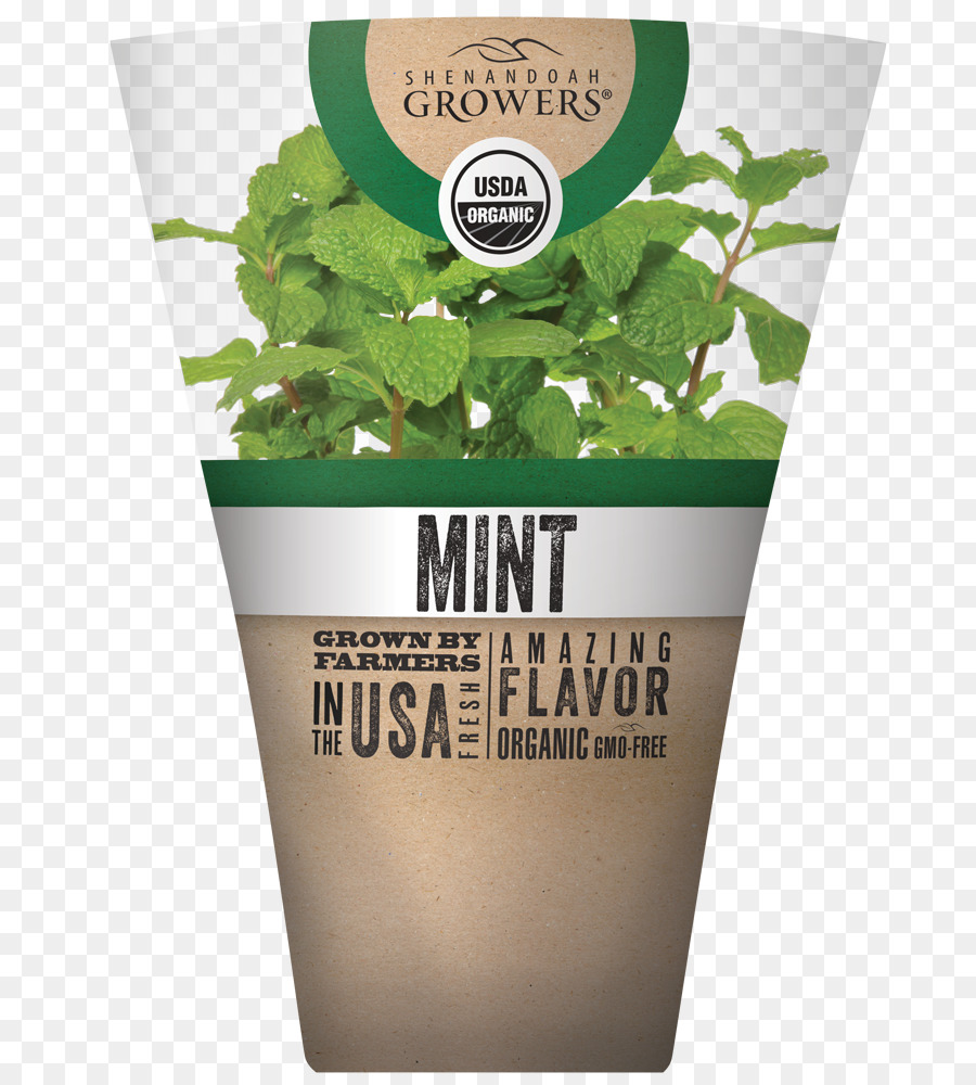 Herbe，Flowerpot PNG