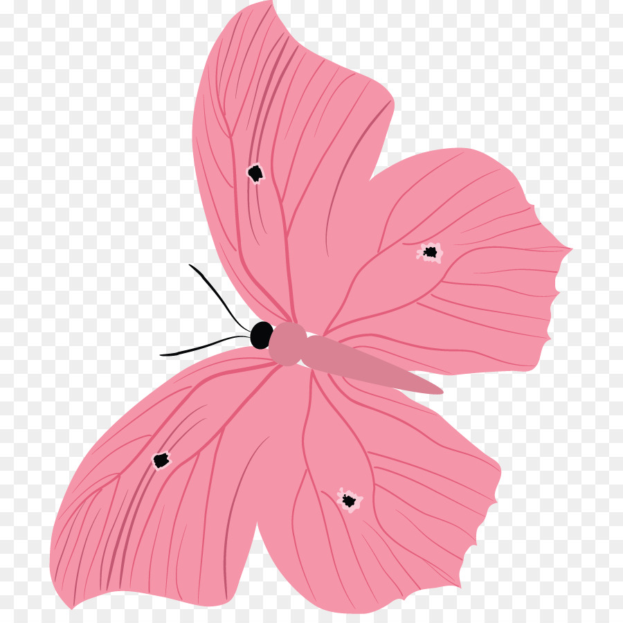 Papillon，Pétale PNG