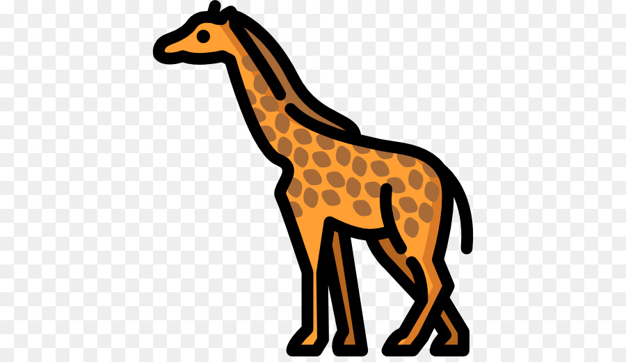 Girafe，Faune PNG