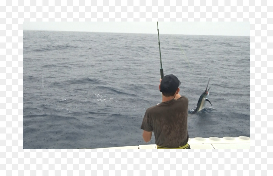 Pêche à La Dandinette，Cannes à Pêche PNG