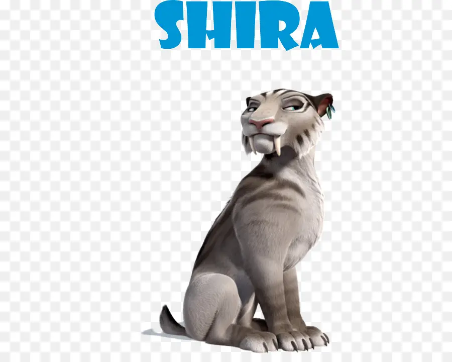 Shira，Animé PNG