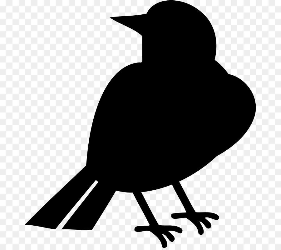 Oiseau，Silhouette PNG