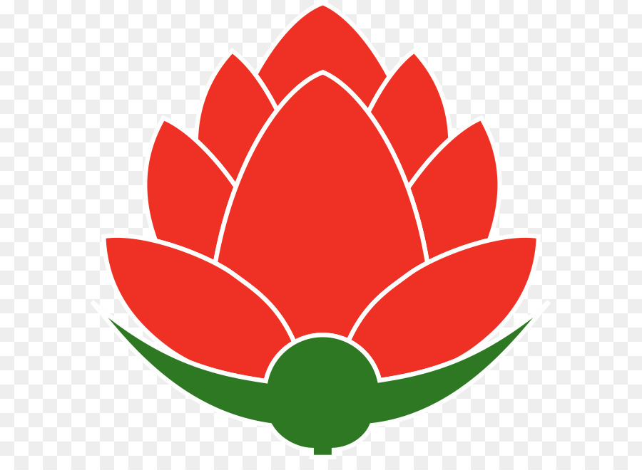 Fleur De Lotus，Usine PNG