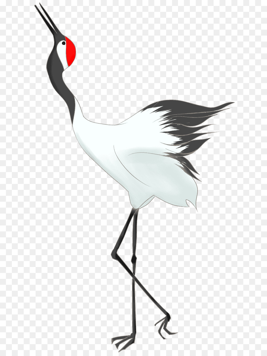 grue pelican oiseau png grue pelican oiseau transparentes png gratuit grue pelican oiseau png grue