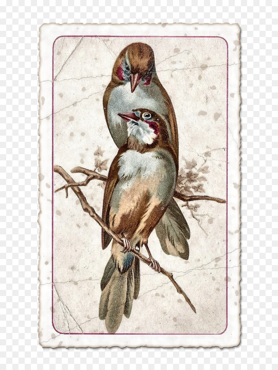 Deux Oiseaux，Bifurquer PNG