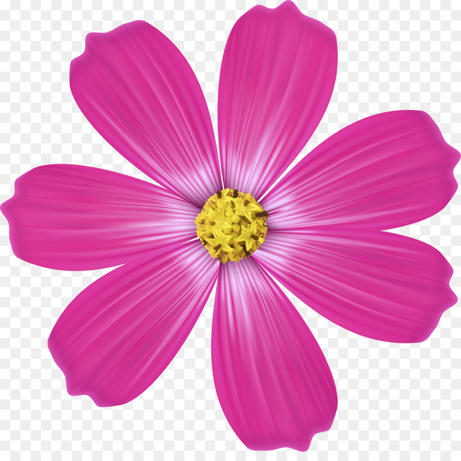 Fleur，Rose PNG