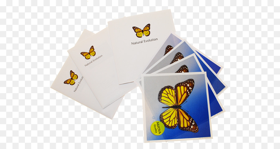 Papier，Papillon PNG