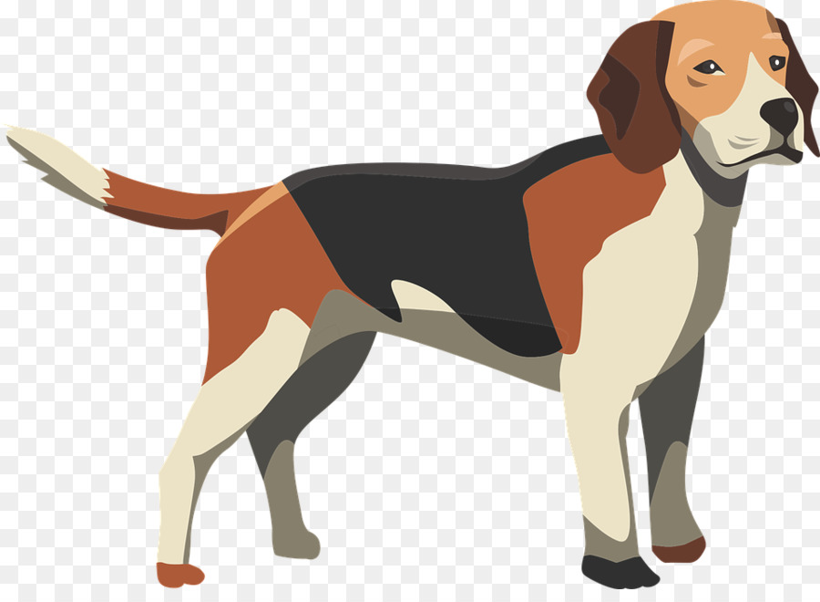 Chat，Le Labrador Retriever PNG