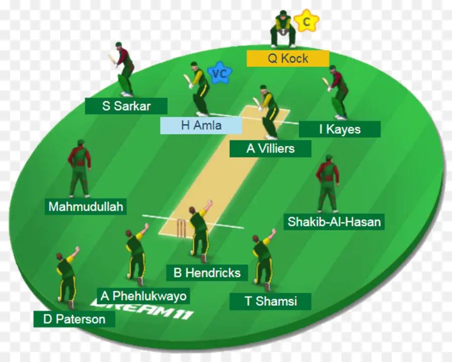 Terrain De Cricket，Joueurs PNG