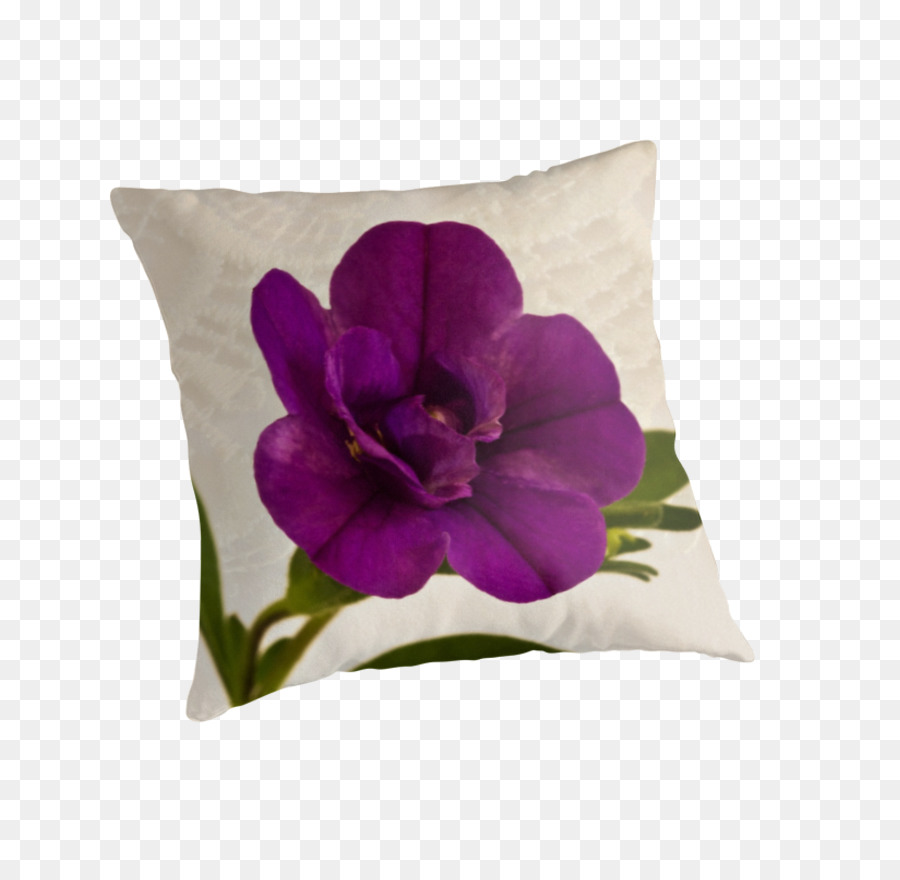 Les Coussins，Coussin PNG