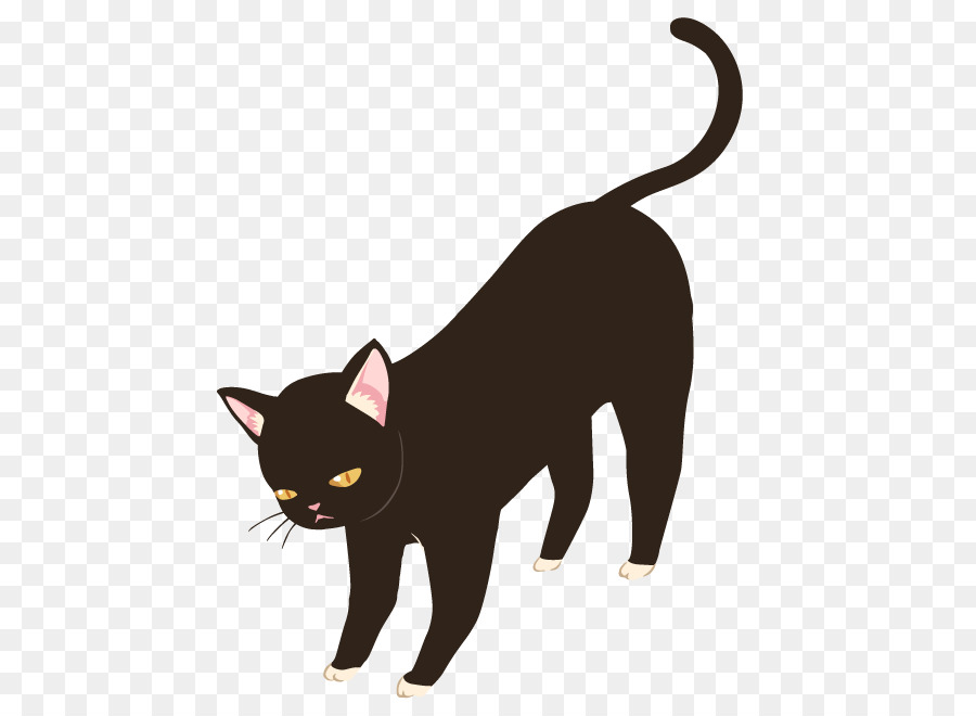 Chat，Animal De Compagnie PNG