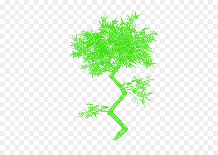 Bambou Vert，Feuilles PNG